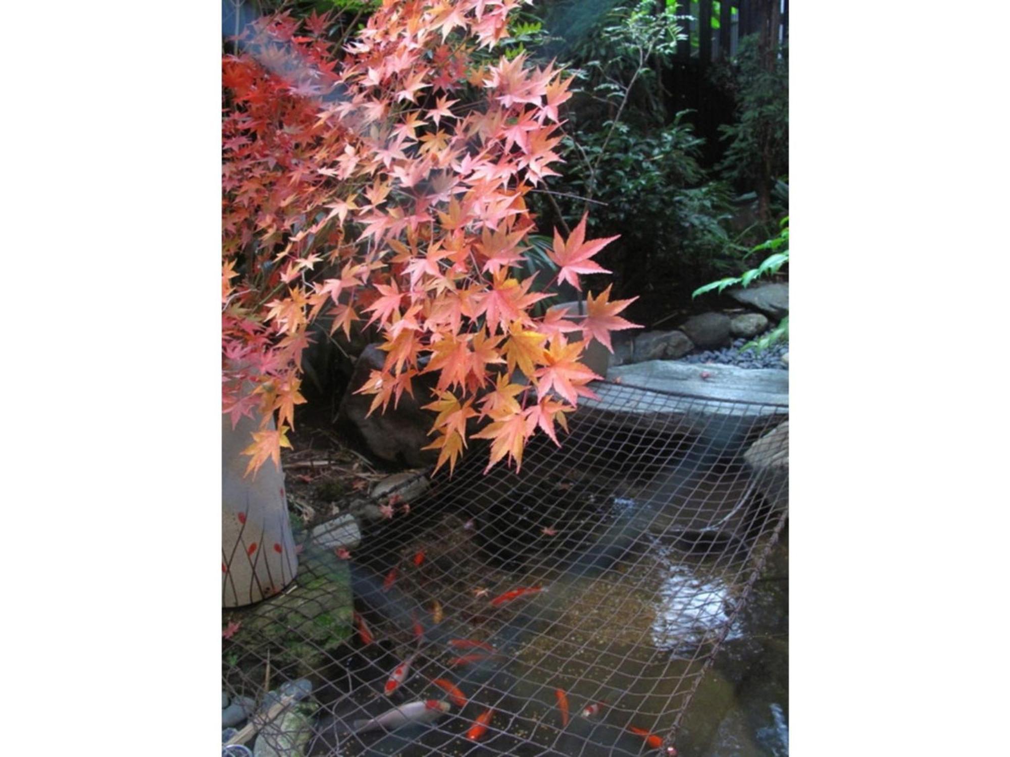 Matsubaya Ryokan - Vacation Stay 05188V - Kyoto — Photos 1